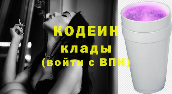 индика Армянск