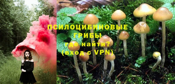 спиды Баксан