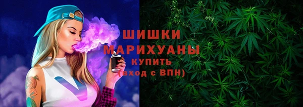 индика Армянск